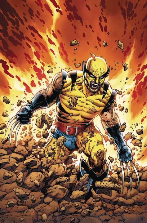 RETURN OF WOLVERINE #1 VARIANT Wolverine Origins, Wolverine Logan, Marvel Wolverine, Wolverine Comic, Wolverine Art, The Wolverine, Marvel Champions, Logan Wolverine, Wolverine Marvel