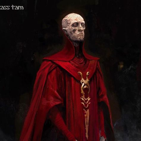 Wesley Burt on Instagram: "A couple early Szass Tam concept illustrations #dndmovie #dungeonsanddragonshonoramongthieves" Red Wizard Of They, Red Wizard Dnd, Alien Vampires, Wesley Burt, Red Wizard, Conceptual Artwork, Fantasy Life, Space Fantasy, Macabre Art