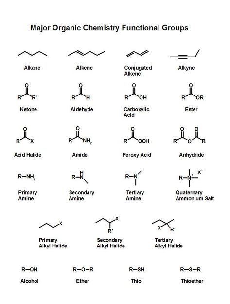 Organic Chemistry 101: Nomenclature Chemistry Structures, Organic Chemistry Jokes, Wallpaper Organic, Biochemistry Major, Chemistry Major, Chemistry Organic, Organic Chemistry Notes, Organic Chemistry Reactions, Chemistry 101