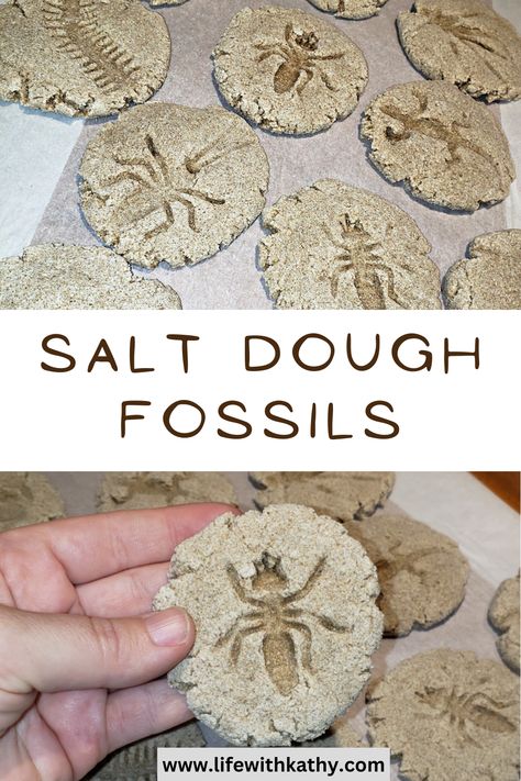 Archeology Classroom Theme, Archeology Activities For Kids, Indiana Jones Scavenger Hunt, Indiana Jones Crafts, Indiana Jones Party Ideas, Indiana Jones Decor, Archeology Party, Salt Dough Fossils, Egyptian Garden