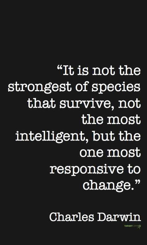 Charles Darwin quote Charles Darwin Quotes, Survival Of The Fittest, Survival Camping, Intelligence Quotes, Charles Darwin, Philosophy Quotes, Camping Tips, Meaning Of Life, Wonderful Words