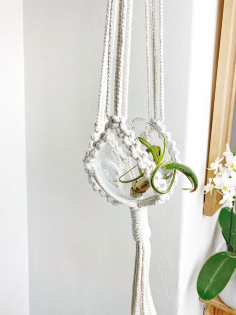 Glass bowl air plant hanger- Pattern 2 – Crafted by Ceri Macrame Air Plant Holder Diy, Macrame Terrarium Hanger, Macrame Air Plant Hanger, Glass Air Plant Holder, Air Plant Crochet Hanging Planters, Air Plant Hanger, Macrame Airplant Holder, Hanger Holder, Half Hitch Knot