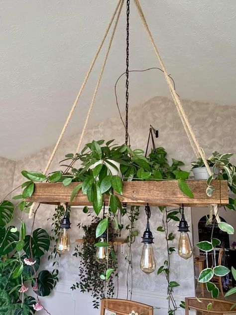 Hanging Ladder With Plants, Hanging Plant Ladder Ceiling, Ladder Ceiling Plants, Ladder Plant Hanger Ceiling, Ladder With Plants, Ceiling Plant Hanger Wood, Ceiling Plants Hanging Restaurant, Takken Decor, Hanging Ladder