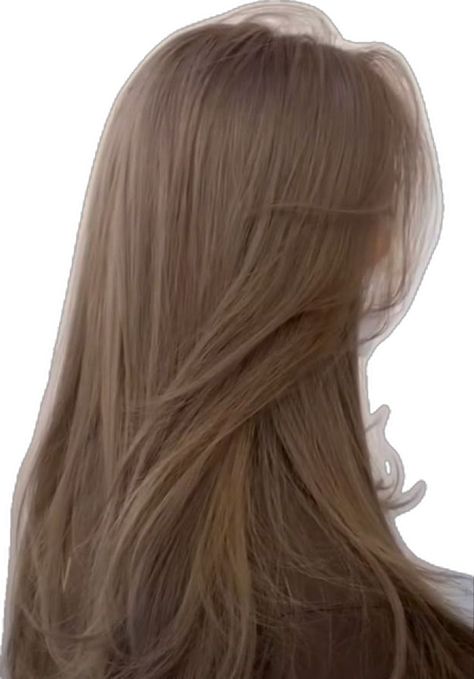 Warm Light Brown Hair, Braun Hair, Pelo Cafe, Winter Hair Color Ideas, Coffee Hair, Dark Blonde Hair Color, Beige Hair, Long Shiny Hair, Korean Hair Color