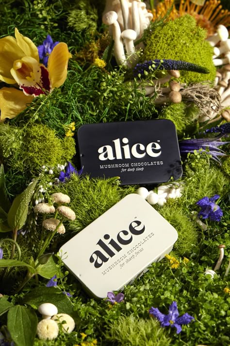 Alice Is Serving Up Decadent Functional Mushrooms | Dieline - Design, Branding & Packaging Inspiration Mushroom Product Photography, Mushroom Packaging Design, Mushroom Graphic Design, Medical Mushrooms, Mushrooms Graphic Design, Mushroom Branding, Mushroom Packaging, Mushroom Company Branding, Herbal Supplement Packaging Design