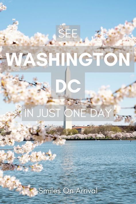 Planning to spend one day in Washington DC? Our guide covers the best way to explore the nation's capital in just 24 hours! From iconic landmarks like the Washington Monument and Lincoln Memorial to hidden gems in Georgetown, we'll help you experience the best of DC. Perfect for first-time visitors and those short on time! 1 Day In Washington Dc, Washington Dc Must See, What To Do In Washington Dc, Washington Dc With Kids, Walkable City, Potomac River, Lincoln Memorial, Vietnam Veterans Memorial, Washington Monument