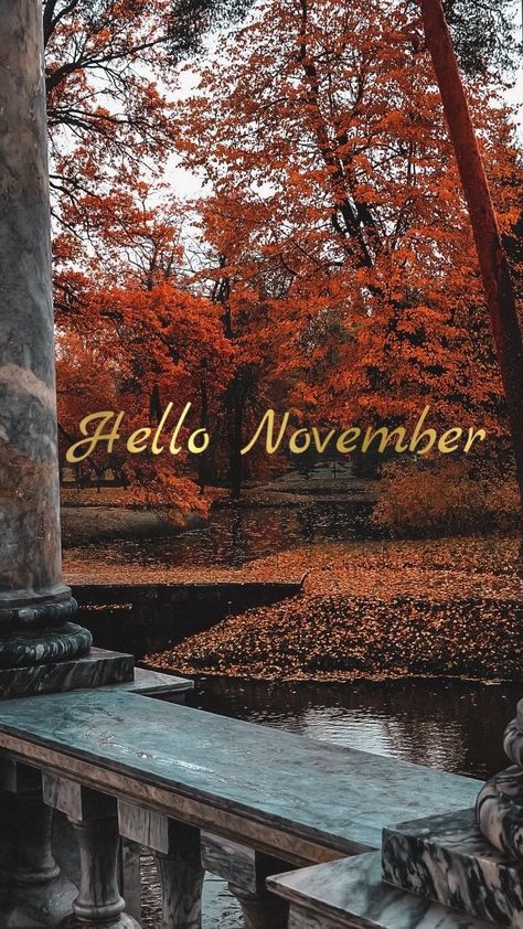 Hello November Images, Hello November Aesthetic, Hello November Wallpaper, November Wallpaper Aesthetic, November Wallpapers, Hallo November, November Hello, Napkins Folding, How To Fold Napkins