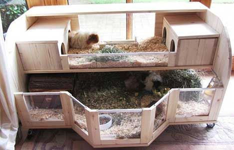 Make Your Own Guinea Pig Cage | http://abyssinianguineapigtips.com/make-guinea-pig-cage/ Hedgehog Pet Cage, Indoor Guinea Pig Cage, Pig Habitat, Diy Guinea Pig Cage, Guinea Pig Cages, Guinea Pig Diy, Guinea Pig Hutch, Guinea Pig House, Guinea Pig Bedding