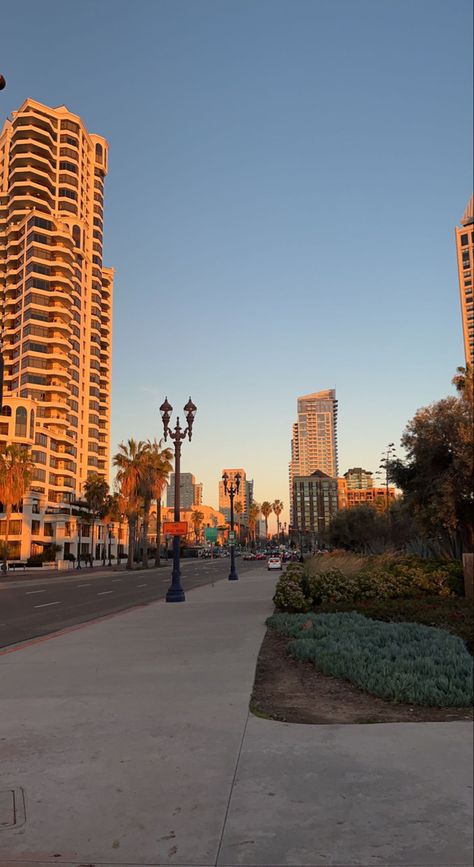 San Diego Fake Story, Downtown San Diego Aesthetic, San Diego California Aesthetic, San Diego Wallpaper, San Diego Vibes, San Diego Pictures, Cali Aesthetic, San Diego Aesthetic, San Diego Downtown