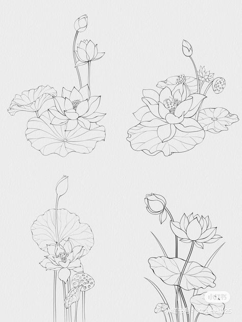 Lotus Flower Tattoo Black And White, Lotus Pond Drawing, Lotus Drawing Art, Water Lilies Drawing, Lotus Line Drawing, Lotus Flower Line Art, Lotus Embroidery Design, Lotus Flower Sketch, Lotus Flower Drawings