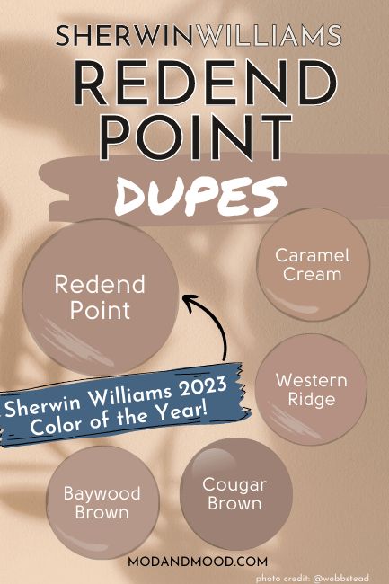 Redend Point - Sherwin Williams Color Of The Year - Mod & Mood Sherwin Williams Redend Point Bathroom, Resend Point Sherwin Williams, Redend Point Color Sherwin Williams, Colors For Bathroom Cabinets, Sherwin Williams Redend Point, Sw 9081, Bathroom Painting Ideas, Redend Point, Sherwin Williams Paint Neutral