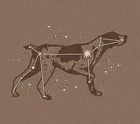 Wolfstar Constellation, Marauders Phone Theme, Canis Major Tattoo, Marauders Widget, Astro Academia, Sirius Constellation, Canis Major Constellation, Canis Major, Widget Pictures