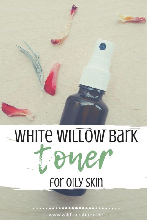 White Willow Bark Benefits, Toner At Home, Alchemy Recipes, Herbal Alchemy, Diy Cosmetics Recipes, Diy Toner, Easy Diy Beauty Products, Oily Skin Remedy, Herb Life