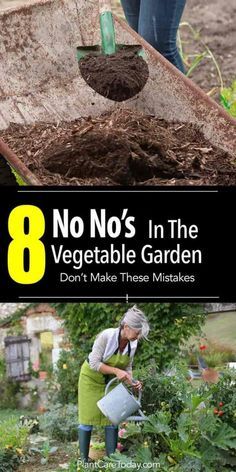 shoveling compost and senior woman watering the garden Vegetable Garden Planner, Garden Planner, Garden Veggies, Garden Types, Veg Garden, Home Vegetable Garden, Food Garden, Garden Bed, Flowers Garden