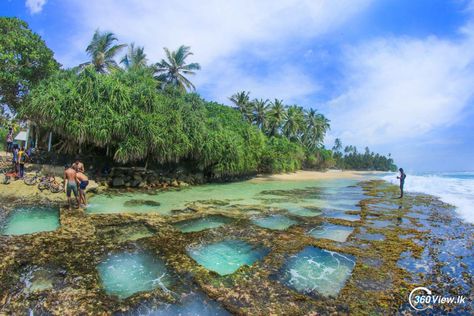 Natural small pools Small Pools, Rock Pools, Coastal Towns, The Visitors, Sea Animals, Beach Photography, Beautiful Beaches, Sri Lanka, The Rock