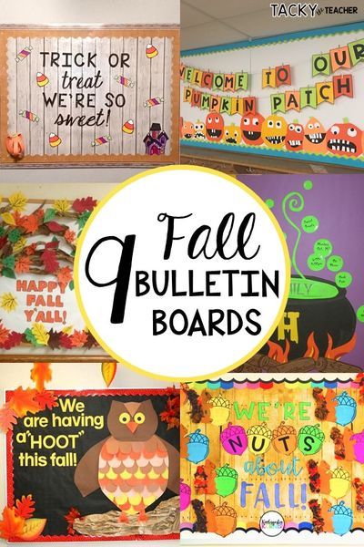 9 Fall Bulletin Board Ideas for the Classroom — Tacky the Teacher Bulletin Board Makeover, Fall Bulletin Board Ideas, September Bulletin Boards, Toddler Bulletin Boards, Easy Bulletin Boards, October Bulletin Boards, November Bulletin Boards, Elementary Bulletin Boards, Kindergarten Bulletin Boards