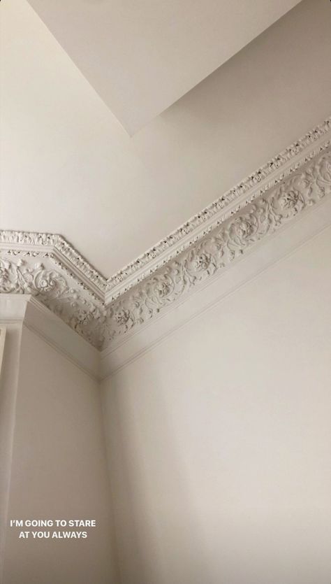 French Trim Moldings, Cornice Ceiling, Cornices Ceiling, House Finishes, Molding Ceiling, Nice Rooms, Aesthetic Story, Decorative Elements, Crown Molding