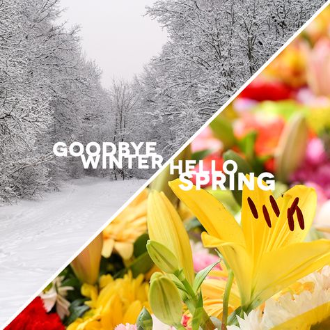 Goodbye Winter Hello Spring spring pink flowers blossom hello spring spring pics Hello Spring Quotes, Goodbye Winter Hello Spring, Happy Spring Day, Goodbye Winter, 1st Day Of Spring, Spring Quotes, Spring Images, Spring Pictures, Spring Salad