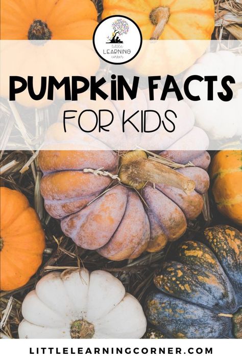 Kindergarten Autumn, Pumpkin Facts, Life Cycle Of A Pumpkin, Autumn Themed Activities, Pumpkin Lessons, March Math, Concepts Of Print, Learning Corner, Fall Family Fun