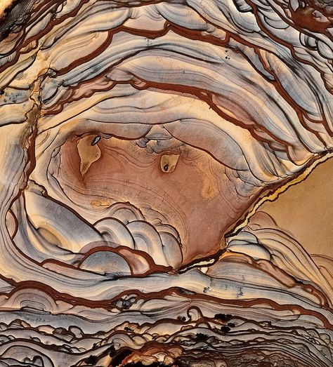 Biggs Jasper by Woods Stoneworks and Photo Factory, via Flickr Biggs Jasper, Beautiful Rocks, Rocks And Gems, Minerals And Gemstones, Picture Jasper, Patterns In Nature, Gems And Minerals, Color Textures, Stone Rocks