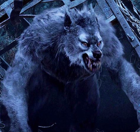 Van Helsing Werewolves | van helsing was made in 2004 this movie has all cg werewolves no ... Werewolf Reference, Van Helsing Werewolf, Wolf In The Woods, Vampire Monster, Night Wolf, Werewolf Aesthetic, Van Helsing, Creepy Stuff, Werewolf Art