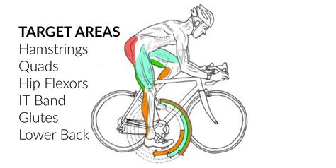 Cyclists are known for their toned calves, strong thighs and overall cardiovascular fitness. We may be able to output a ton of power into each pedal stroke, but when it comes to flexibility and range of motion, most of us are lacking. The best way to combat this is with regular and targeted stretches for cyclists. Road Cycling Training, Tight Hamstrings, Bike Training, It Band, Muscles In Your Body, Strong Muscles, Best Stretches, Calf Muscles, Cycling Workout