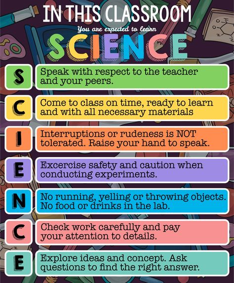 Science Classroom Rules, Science Posters For Classroom, Free Science Posters, Classroom Rules Printable Posters, Science Classroom Posters, Preschool Classroom Rules, Classroom Rules Printable, Physics Poster, Class Rules Poster