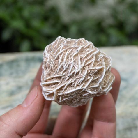 Desert Rose Selenite Meanings and Crystal Properties - The Crystal Council Desert Rose Selenite Meaning, Desert Rose Selenite, Rose Meaning, Crystal Properties, Stay Grounded, Spirit World, Earth Elements, Crystal Shapes, Energy Stones