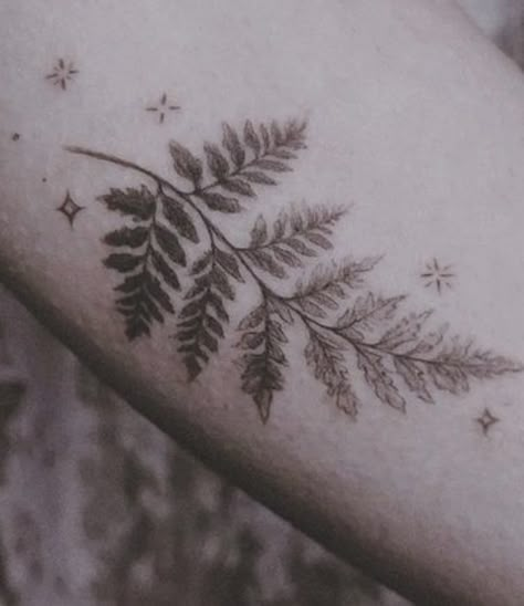 Butterfly Fern Tattoo, Witchy Collar Bone Tattoo, Fern Collar Bone Tattoo, Fern Leaf Tattoo, Tattoo Fern, Tattoo Planning, Pearl Tattoo, Clavicle Tattoo, Sparkle Tattoo