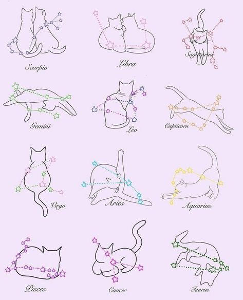 Cat Zodiac Tattoo, Cat Zodiac Signs, Zodiac Signs Aesthetic, Silly Tattoos, 20 Tattoo, Penguin Tattoo, Tato Minimal, Cute Cat Tattoo, Small Girly Tattoos