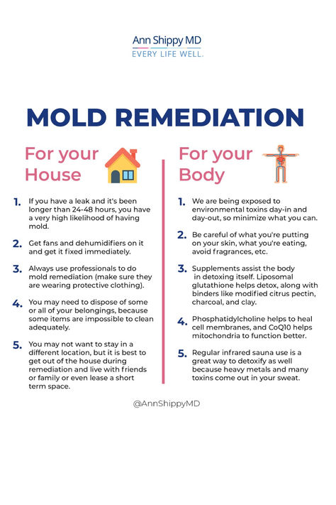 This page includes information on…

-How to test your body and your home for toxic mold
-A free guide on how to determine if mold is causing your symptoms
-Diet, supplements and other lifestyle tools to support detoxification and healing
-Mold Toxicity Workbook
-Where to go for mold remediation
-Articles and podcasts on toxic mold and related illnesses
-FAQ section – answers to the most common questions on mold toxicity illness Mold Poisoning, Toxic Mold Symptoms, Black Mold Symptoms, Mold Toxicity, Mold Exposure, Toxic Mold, Holistic Diet, Medical School Essentials, Autoimmune Protocol