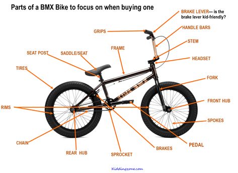 Bmx Brands, Bmx Street, Best Bmx, Bike Equipment, Bmx Racing, Bmx Bicycle, Bmx Freestyle, Bmx Bike, Bike Brands