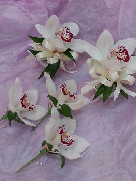 Single white cymbidium orchid with Italian ruscus foliage boutonnieres & wrist corsages Single Orchid Bouquet, Orchid Corsage And Boutonniere, Orchid Corsage Prom, Orchid Groom Boutonniere, Orchid Buttoniere, Purple Orchid Corsage, Orchid Boutonniere, Orchid Corsages, Homecoming Flowers