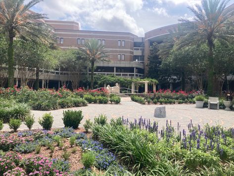 flower butterfly garden at the university of north florida #unf #universityofnorthflorida University Of West Florida, University Of North Florida, Manifest 2024, Pinterest Contest, North Florida, Dream College, International Business, Flower Butterfly, Wall Pictures