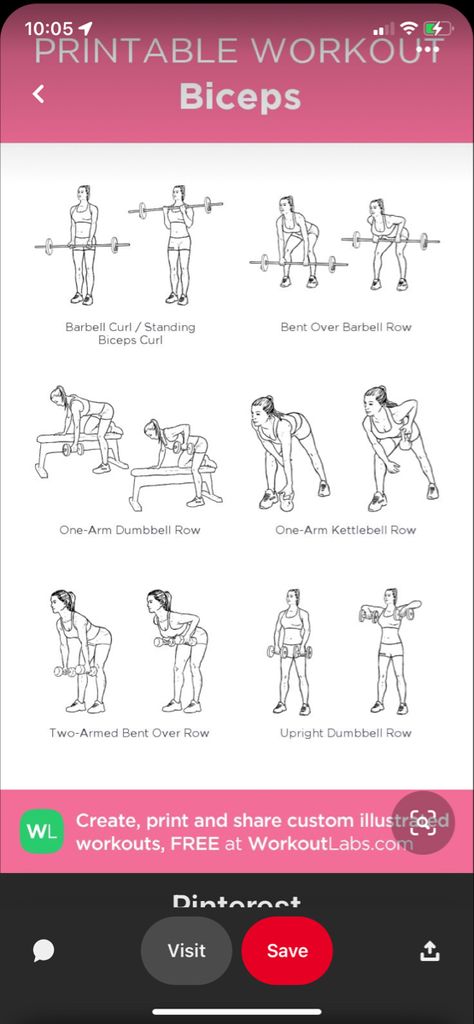 Bent Over Barbell Row, Barbell Bent Over Row, Bent Over Rows With Dumbbells, One Arm Dumbbell Row, Bent Over Row, Saturday Workout, Barbell Row, Barbell Workout, Printable Workouts