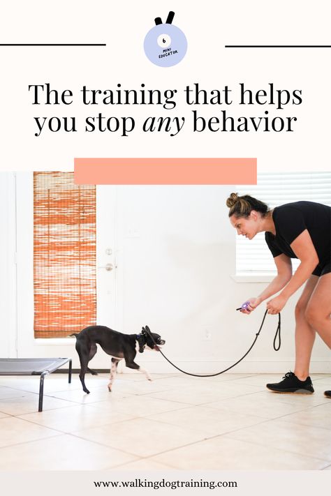 Is the E Collar a tool you're nervous about using? I get it! But e collar training can help you stop pretty much any dog behavior problem. You can stop the barking, jumping, working on loose leash walking and stop the leash aggression. This is dog training advice that actually works. Leash Aggression Training, E Collar Training, Loose Leash Walking, Dog Behavior Problems, Cozy Pants, Dog Training Advice, Behavior Problems, Positive Behavior, I Get It