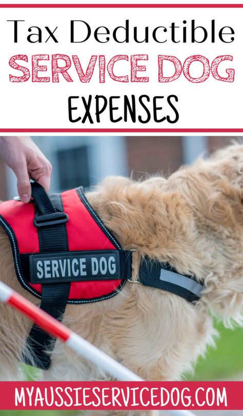 If you have a service animal, you’re probably wondering if they are tax-deductible. The answer is yes! Service animals can be considered to be medical expenses and therefore the costs associated with them qualify as deductions on your taxes. #servicedogs #servicedogexpenses #taxdeductibleservicedogexpenses Mobility Service Dog, Service Dog Aesthetic, Service Dog In Training, Service Dog, Service Dog Tasks, Psychiatric Service Dog Gear, Psychiatric Service Dog Tasks, Service Dog Training Commands, Service Dog In Training Gear