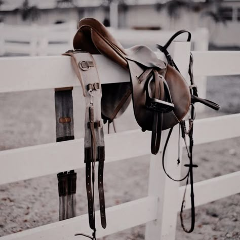 Equestrian Photography, Equestrian Aesthetic, Equestrian Helmet, Horse Gear, Horse Aesthetic, English Riding, Equestrian Lifestyle, Horse Equestrian, Equestrian Life