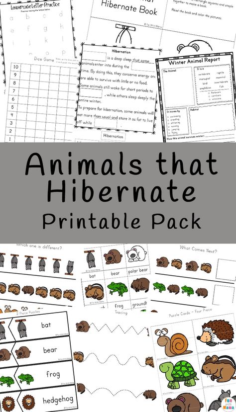 Learn more about animals that hibernate with this fun printable activities pack. Hibernation Kindergarten, Hibernation Preschool Theme, Hibernation Preschool Activities, Hibernation Preschool, Hibernation Activities, Animals That Hibernate, Animal Worksheets, Winter Preschool, Printables Free