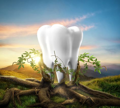 Green Dentistry, Dental Creative Ads, Dentist Ads, World Nature Day, Dental Cover, Dental Pictures, Dental Wallpaper, Dental Advertising, Dental Photos