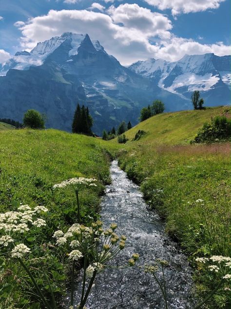 Mürren, and the Lauterbrunnen Valley in Switzerland - Let's Explore Switzer Land Aesthetic, Murren Switzerland Photography, Switzerland Astethic, Switzerland Mountains Aesthetic, Switzerland Nature Landscapes, Switzerland Meadow, Swizland Switzerland, Switzerland Valley, Switzerland Scenery