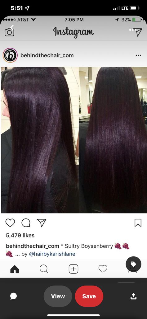 4vv Hair Color, Black Plum Hair Color, Lob 2023, Black Cherry Hair Color Dark, Blackberry Hair Color Dark, Plum Black Hair, Violet Black Hair, Eggplant Colored Hair, Plum Brown Hair