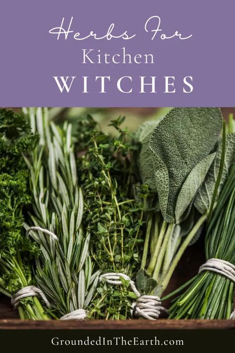 Kitchen Witchcraft: Getting Started - Grounded In The Earth Kitchen Witch Fertility, Green Witch Recipes, Kitchen Witchery Recipes, Kitchen Witch Herbs, Witchcraft Kitchen, Properties Of Herbs, Kitchen Witchcraft, Wicca Recipes, Kitchen Witch Recipes