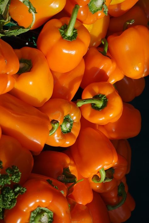 Veg Photography, Orange Vegetables, Cute Wallpapers For Android, Mix Baby Girl, Vegetables Photography, Orange Peppers, Fruit Photography, Diet Culture, Beautiful Fruits