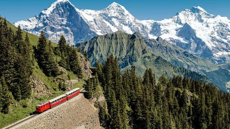 27 AWESOME THINGS TO DO IN INTERLAKEN, SWITZERLAND - Journey Era Swiss Hiking, Switzerland Hiking, Mountain Huts, Visit Switzerland, Hiking Guide, Interlaken, Switzerland Travel, Adventure Park, Best Hikes