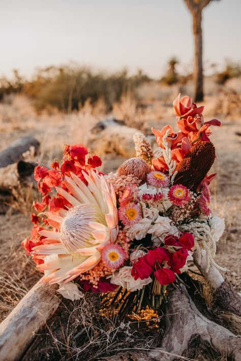 Joshua Tree Elopement custom dried pink, red and magenta wedding bouquet with King Protea, bougainvillea, strawflowers for this desert wedding at sunset. Visit the journal for more! #joshuatreewedding #bohowedding #desertwedding #kingprotea Southwestern Wedding Bouquet, Dried Spring Flowers, Bright Desert Wedding, Pink Protea Bouquet, Boho Sunset Wedding, Desert Bouquet Wedding, Strawflower Wedding, Colorful Desert Wedding, Bright Western Wedding