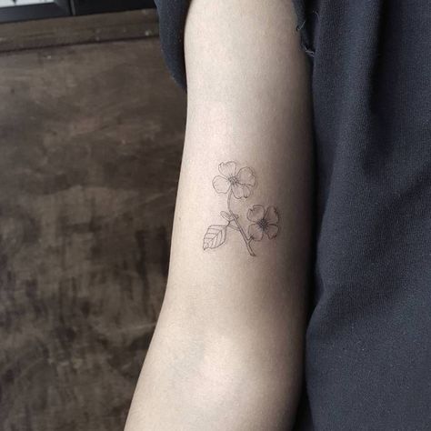 Tiny Dogwood Flower Tattoo, Dogwood Stamp Tattoo, Small Dogwood Flower Tattoo, Pacific Dogwood Tattoo, Virginia State Flower Tattoo, Flowering Dogwood Tattoo, Dogwood Tattoos For Women, Dog Wood Flower Tattoo, Dogwood Flowers Tattoo