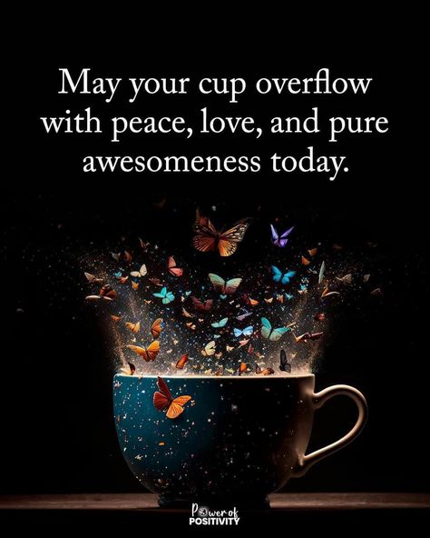 Cup Overflowing, Wednesday Quotes, Good Morning Wishes Quotes, Morning Wishes Quotes, Asheville North Carolina, Good Morning Inspirational Quotes, Positive Vibes Only, Power Of Positivity, Morning Inspirational Quotes