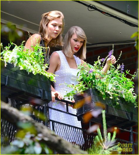 Sapphic Ships, Karlie Kloss Taylor Swift, Katy Perry Dress, Taylor Swift Street Style, Taylor Swift Web, Karlie Kloss, Gorgeous Gardens, Taylor Swift Pictures, Taylor Alison Swift