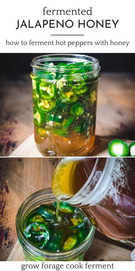 Jalapeno Benefits Health, Honey Fermented Jalapenos, Fermented Jalapeño Honey, Fermented Peppers Recipe, Fermented Pepper Sauce, Fermented Honey Lemon, Ways To Use Jalapenos, Fermented Hot Honey, Fermenting Jalapenos